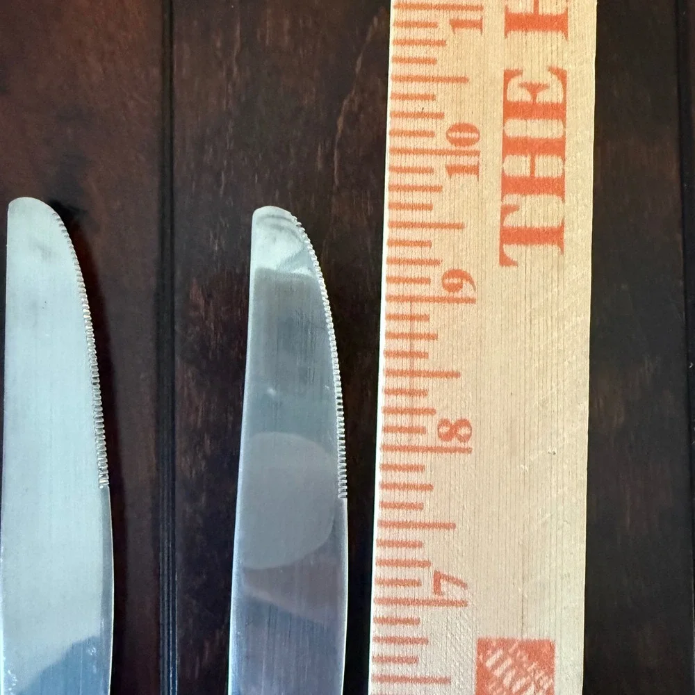 Oneida Moda Glossy Stainless Steel 18/10 6 Dinner Knives Serrated Flatware 9.25